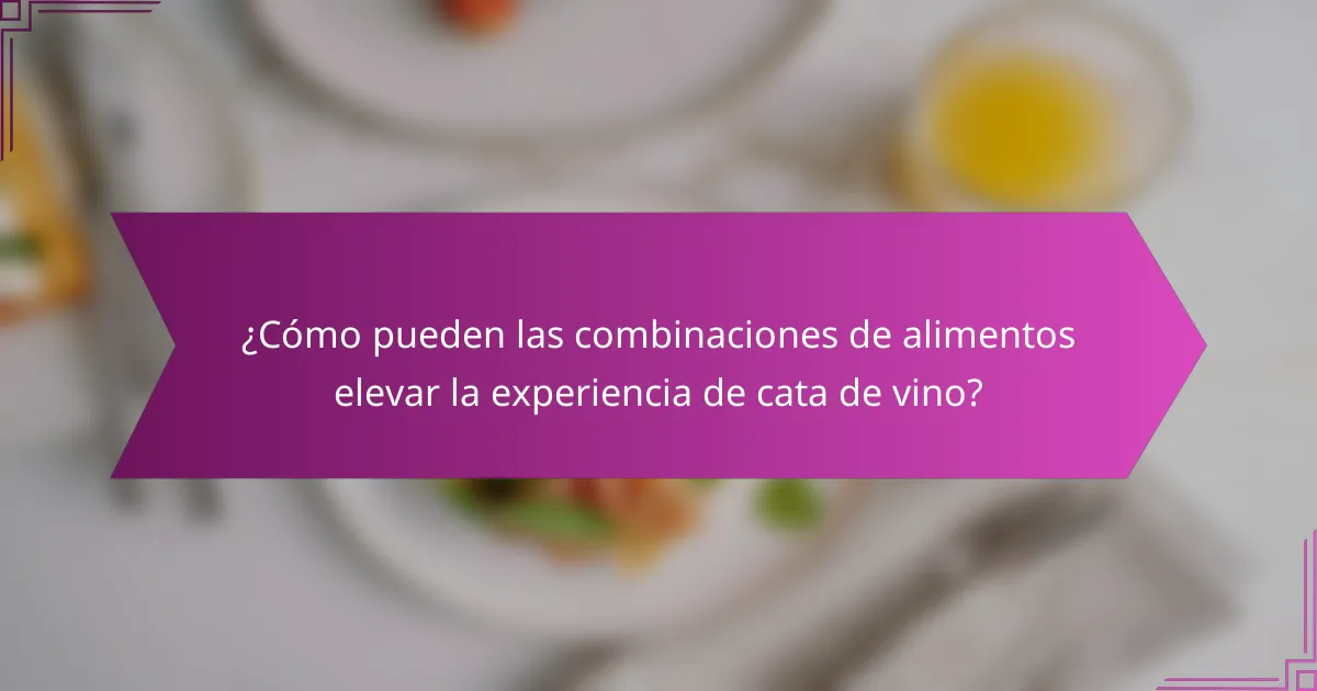 ¿Cómo pueden las combinaciones de alimentos elevar la experiencia de cata de vino?