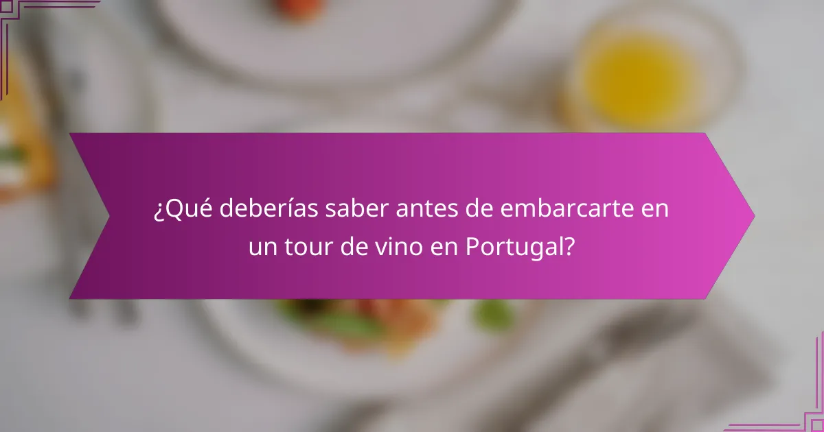 ¿Qué deberías saber antes de embarcarte en un tour de vino en Portugal?